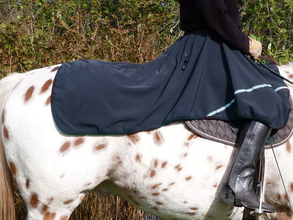 http://happyhorseriders.com/cdn/shop/products/quarter-sheet-extended_600x.jpg?v=1571727430