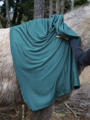Fast Dry Towel on Horse