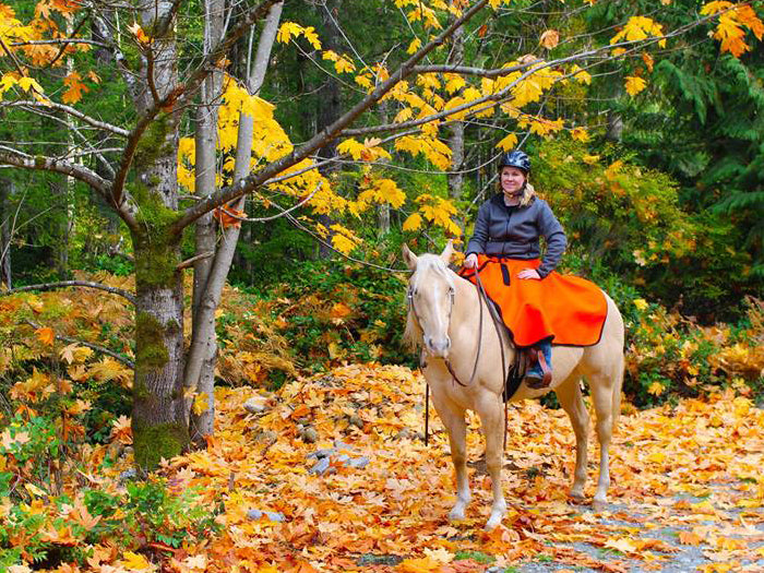 Shop Quarter Sheets at Happy Horse Riders