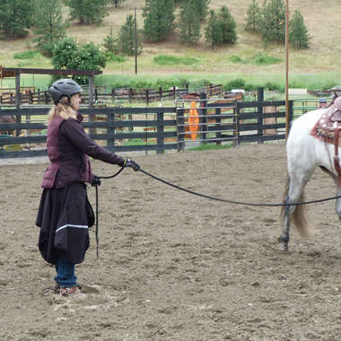 Riding Skirt Ground Work