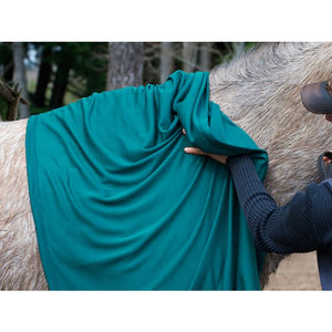 Large Fast Dry Towel Horse